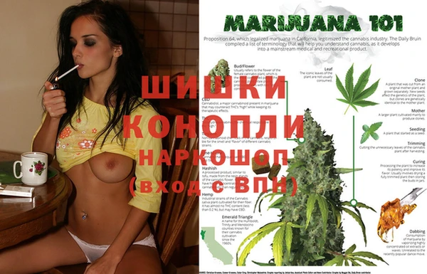 прущий лед Козловка