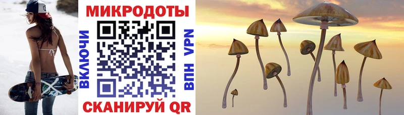 наркотики  Петрозаводск  Псилоцибиновые грибы Magic Shrooms 